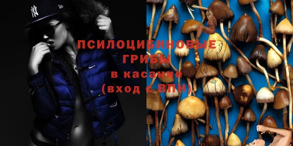 MESCALINE Осинники