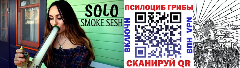 Псилоцибиновые грибы Psilocybe  Калининград 