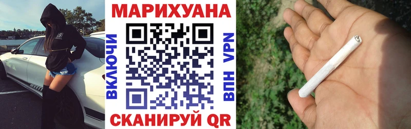 Конопля конопля  Калининград 
